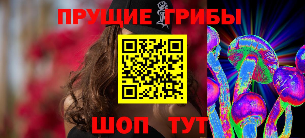 Псилоцибиновые грибы Psilocybine cubensis  Вход с VPN  Ачинск 