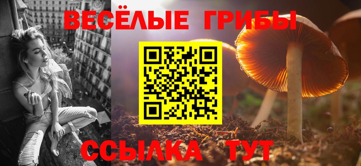 Псилоцибиновые грибы Magic Shrooms Ачинск